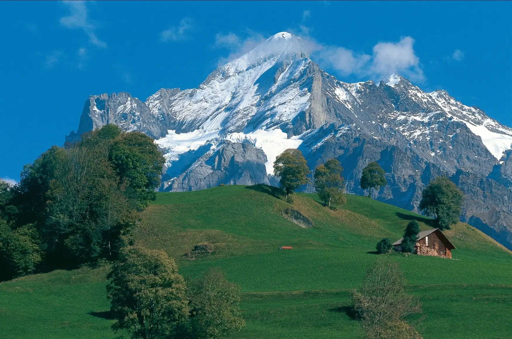 Alpine meadow and chalet below snow-capped peaks