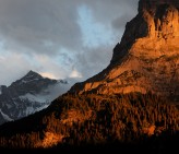 TOUR 5: Flower Tour (Sils Maria and Zermatt, Switzerland)
