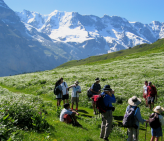 TOUR 4: Kandersteg, Muerren, and Grindelwald, Switzerland