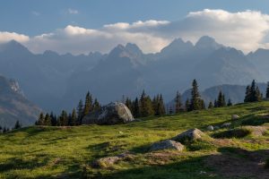 A scenic view of a green grassy field with scattered rocks, bordered by a dense forest of tall trees, perfect for a hiking tour. In the background, a range of mountains can be seen under a sky partly covered with clouds. The sunlight casts a warm glow over the landscape.