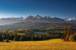 A panoramic view of a mountain range with peaks dusted in snow under a clear blue sky. Below, rolling hills and a dense forest display autumn colors, transitioning to a sunlit grassy meadow in the foreground. This serene natural beauty is perfect for an unforgettable hiking tour.