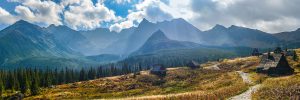 A scenic mountain landscape with a range of jagged peaks under a partly cloudy sky. A cobblestone path winds through grassy fields dotted with huts, bordered by a dense pine forest. Sunrays peek through the clouds, illuminating the serene valley, making it perfect for a hiking tour.