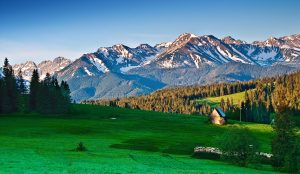 A picturesque landscape features a lush green meadow with pine trees, a small wooden cabin, and grazing sheep. The backdrop includes a range of majestic, snow-capped mountains under a clear, blue sky—perfect for an unforgettable hiking tour.