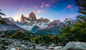 A breathtaking view of jagged mountain peaks at sunrise, capped with snow and bathed in pink and orange hues. The foreground features a rugged landscape with twisted tree roots and vibrant green foliage, perfect for an adventurous hiking tour. The sky is a gradient of blue, pink, and orange.