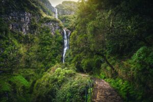 Levada path through Laurisilva forest to the Caldeirão Verde waterfall