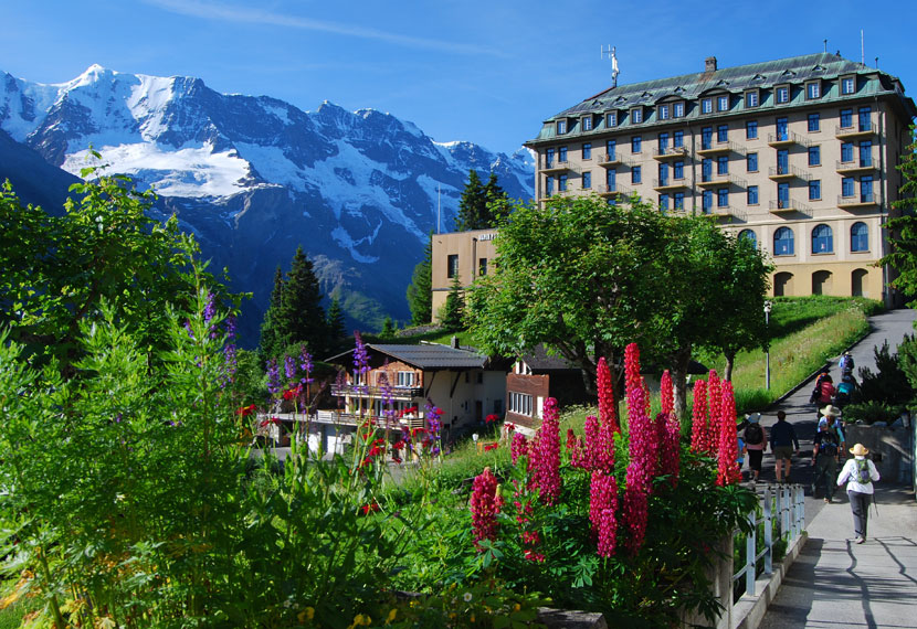 From-from-Hotel-in-Muerren-2010-Fitzgerald